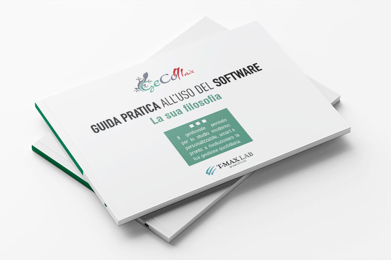 la filosofia di gecomax